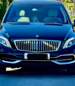 mersedes-benz-vip-katafalk (13)