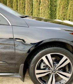 mersedes-benz-vip-katafalk (22)