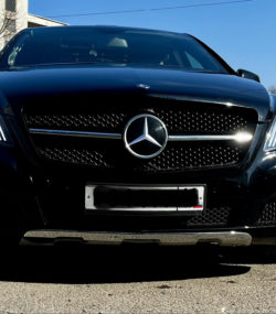 mersedes-benz-vip-katafalk-(36)